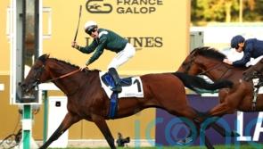 Feed The Flame to limber up for Arc challenge in Prix Niel