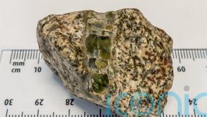 4.6 billion-year-old meteorite sheds light on early solar system – study