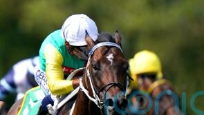 Champions Day option for speedy Mill Stream