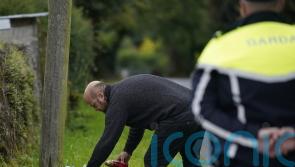 Grandparents and grandson killed in Co Tipperary crash named by gardai