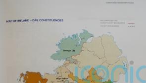 Constituency review allows room to breathe for some high-profile TDs