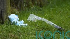 Family left ‘devastated’ after boy and grandparents killed in Co Tipperary crash