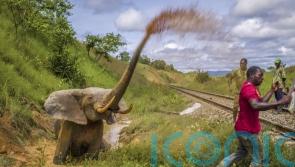 See the stunning new Wildlife Photographer of the Year exhibition pictures