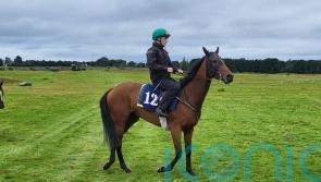 Murtagh set to aim big with Cadeau Belle next week