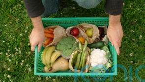 Organic September: What actually makes a food organic?