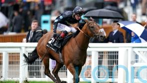 Tis Marvellous bids to bow out with Bullet hat-trick