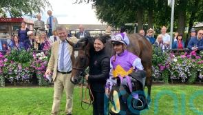 Lezoo set to represent Beckett in Haydock’s Sprint Cup