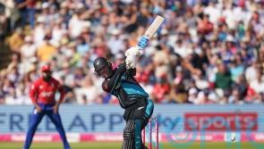 England need 203 to beat New Zealand at Edgbaston and wrap up T20 series