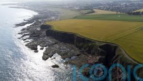 Scotland’s coastal communities urged to consider national park bid
