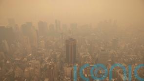 Lung conditions will be made worse by climate change, say researchers