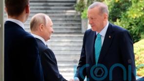 Talks under way between Putin and Erdogan to revive Ukraine grain export deal