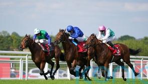 Meehan thoughts turn to Breeders’ Cup with Inishfallen