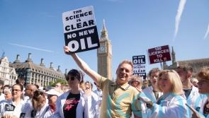 Chris Packham leads scientists in oil and gas licence protest in Westminster