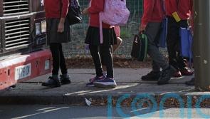 Parents should not keep children out of school for sore throats and runny noses