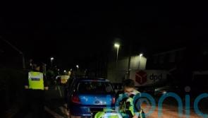 Police patrol get to grips with python after early-hours call-out