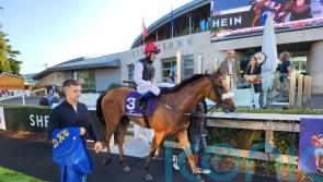 Weld harbouring hopes of another Melbourne Cup