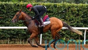 City Of Troy on course for National Stakes showdown