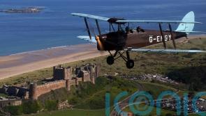 Tiger Moth trips give thrill-seekers chance to reach for the skies