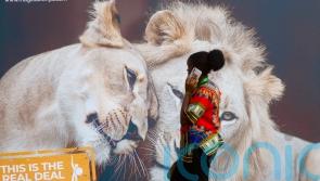 African Climate Summit urges world leaders to back global tax on fossil fuels