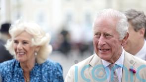 King and Queen to meet sporting stars during rescheduled state visit to France