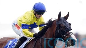 Hollie Doyle offers up services for Melbourne Cup hope Soulcombe