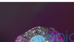 Scientists grow ‘complete’ models of human embryos in lab