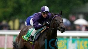 Cheveley Park target for Persian Dreamer