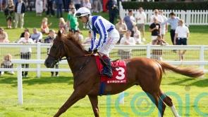 Plenty of options for Devil’s Point after encouraging Sandown run