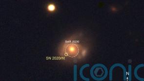 Astronomers observe sun-like star being ‘repeatedly shredded’ by black hole