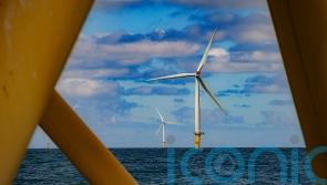 Wind farm builders face ‘perfect storm’ ahead of key announcement