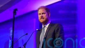 She is looking down on us all – Harry speaks of late Queen on eve of anniversary