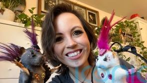 Taxidermist studies acrobats and dancers and transforms rats into ‘sexy showgirls’ using feathers and rhinestones