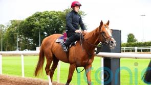 Kyprios on comeback trail in Irish Leger