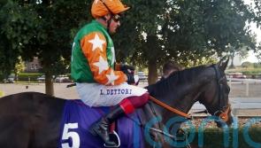 No joy for Dettori as farewell tour stops off at Down Royal
