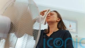 Heat exhaustion advice page on NHS website sees spike in visits during hot spell