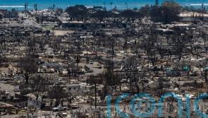 Number of people missing following Maui wildfires drops to 66