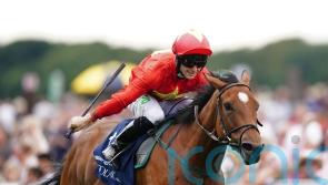 Highfield Princess out to record Flying Five repeat