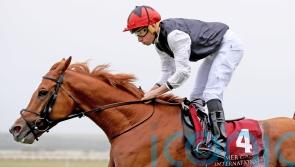 All eyes on Kyprios return in Irish St Leger