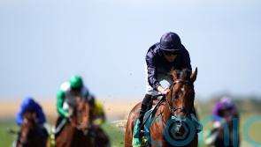 National Stakes set to be must-watch, with O’Brien colts poised for action