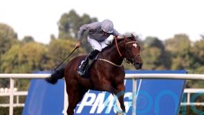 Flight Plan is smooth sailing for Tudhope at Leopardstown
