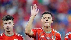 Brennan Johnson has the potential to reach ‘highest of levels’ – Neco Williams