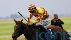Lumiere Rock sparkles in Blandford Stakes