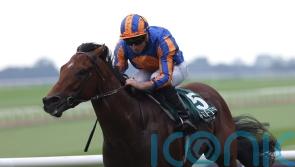 Henry Longfellow is National hero, as O’Brien lands 4,000th winner