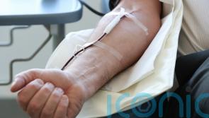 Experts hail new blood stem cell donation service