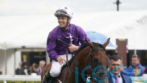 Amo Racing and Kevin Stott part ways