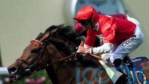 Step up in trip in Paris a possibility for Rogue Millennium