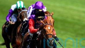 Marquand: Desert Hero ticks all the boxes for Leger challenge