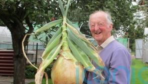 Meet the man who grows the biggest vegetables in the world