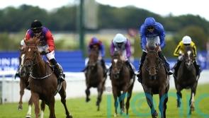 Haggas hoping to realise Classic ambitions for the King and Queen