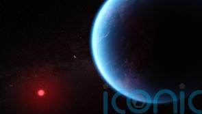 Molecule ‘that could hint at life’ and carbon dioxide found on exoplanet